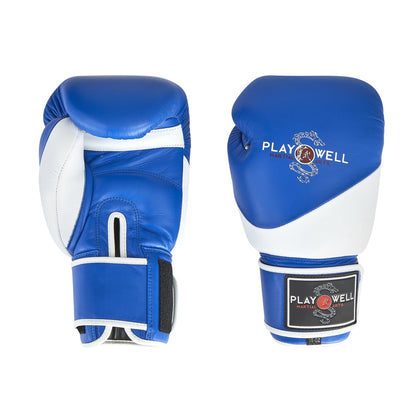 PMA K1 Series Leather Muay Thai Boxing Gloves & Shin Pads Set